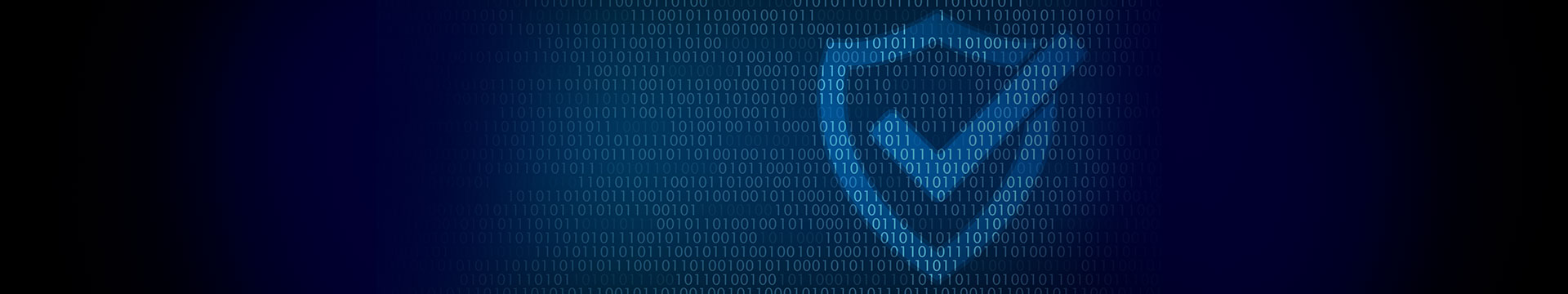 SNP Online Security Day
